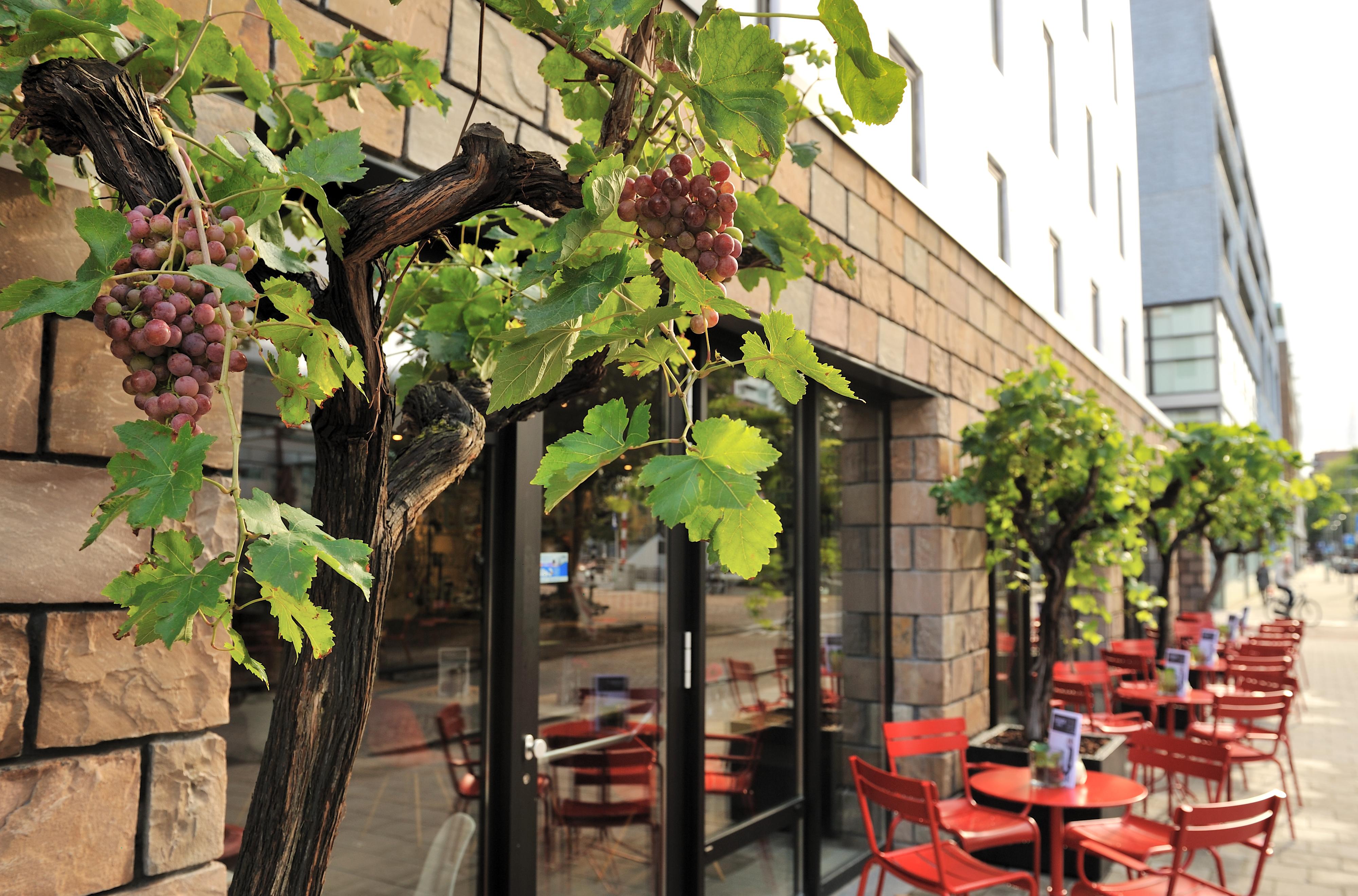 Ibis Rotterdam City Centre Esterno foto